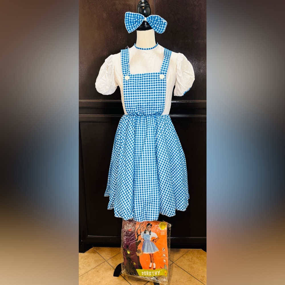 Rubie's Blue and White Gingham Dress Costume